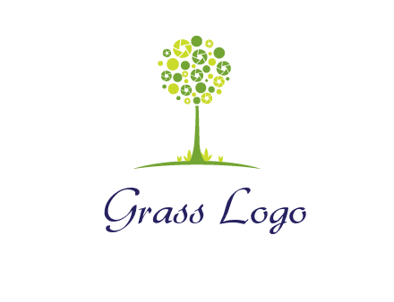 shutters as tree photography logo