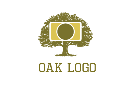 rectangle camera and tree photography logo