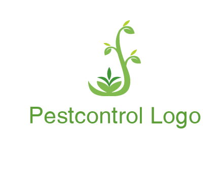 creeper plant branch illustration