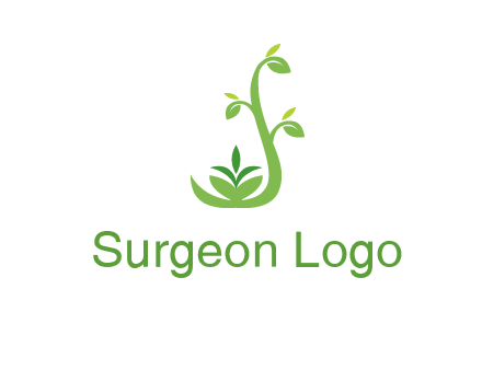 creeper plant branch illustration