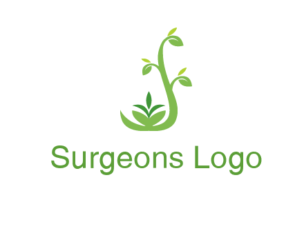 creeper plant branch illustration