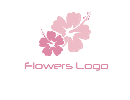 hibiscus flowers logo