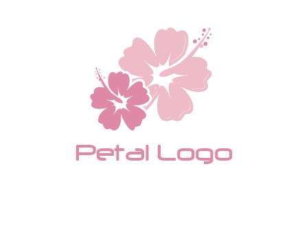 hibiscus flowers logo