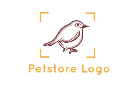 sparrow inside camera focus logo