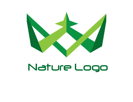 abstract crown with star graphic