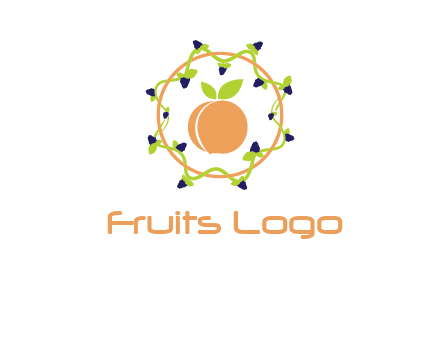 orange in circle with berries logo