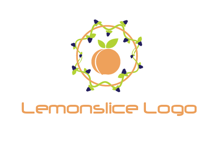 orange in circle with berries logo