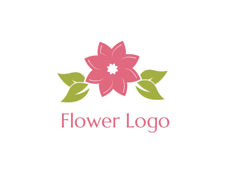 daisy flower and leaves logo