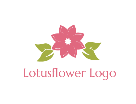 daisy flower and leaves logo