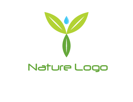 leaves with water drop icon