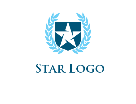 star in shield logo