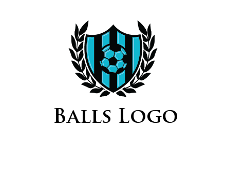 shield in football team logo