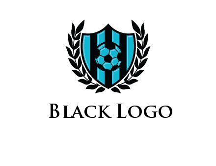 shield in football team logo