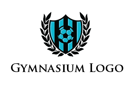 shield in football team logo