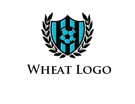 shield in football team logo