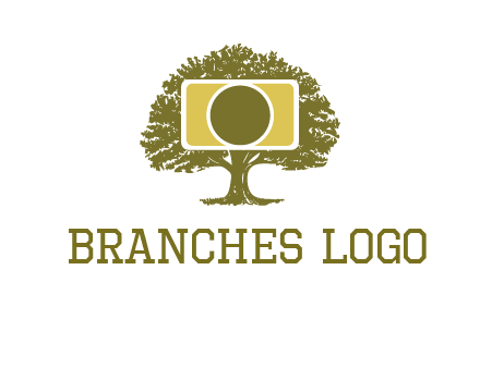 rectangle camera and tree photography logo