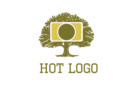 rectangle camera and tree photography logo