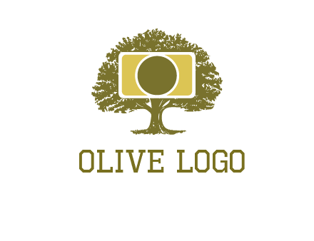 rectangle camera and tree photography logo