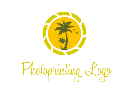 palm trees in sun shutter photography logo