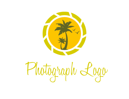 palm trees in sun shutter photography logo