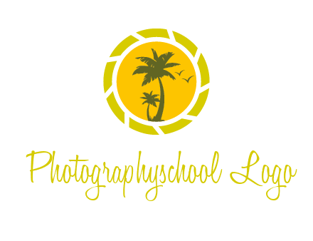 palm trees in sun shutter photography logo