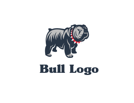 bulldog with collar illustration