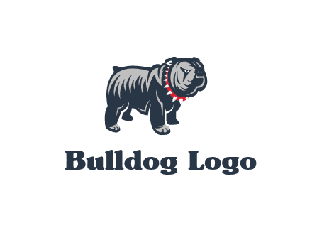 bulldog with collar illustration