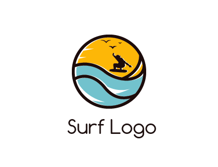 surfer surfing with birds in circle