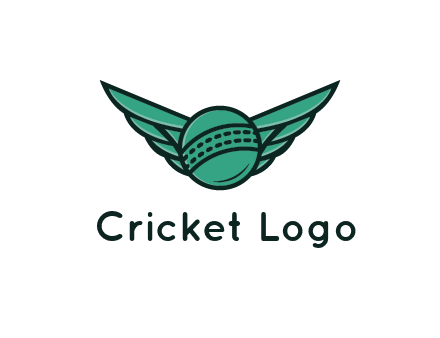 cricket ball with wings