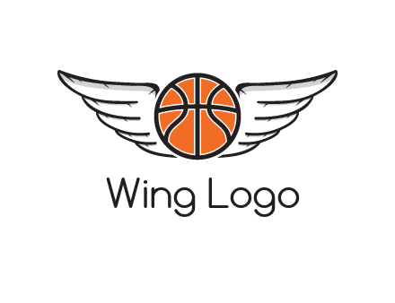 wings behind basketball