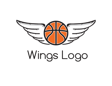 wings behind basketball