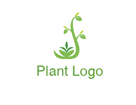 creeper plant branch illustration