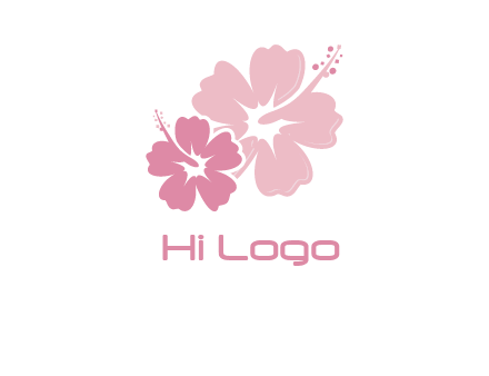 hibiscus flowers logo