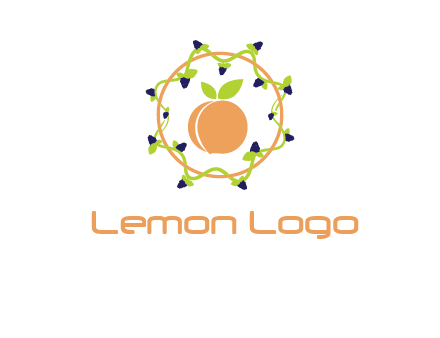 orange in circle with berries logo