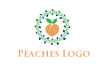 peach fruit ornament vector