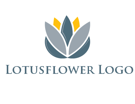 lotus blooming logo