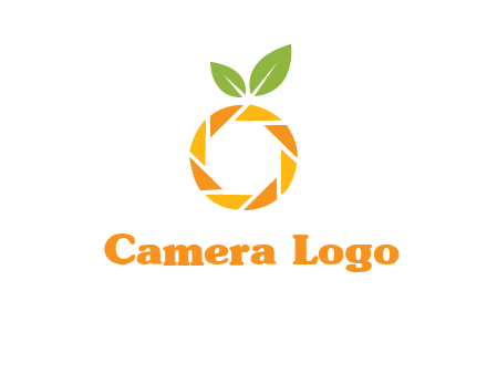 camera lens in an orange fruit shape logo