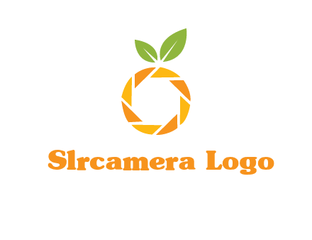 camera lens in an orange fruit shape logo