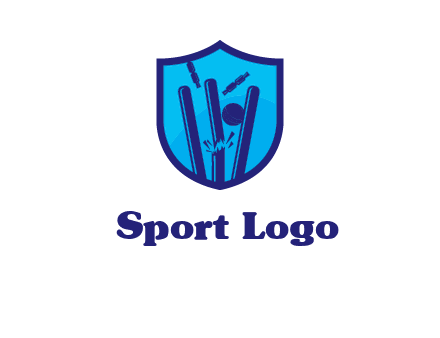 wicket sports logo